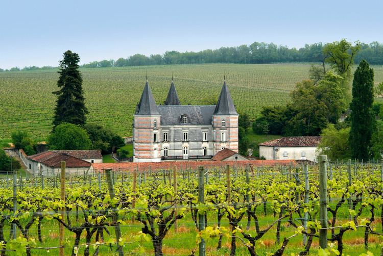 champagne-province-fd59a86a-5bb5-4bc2-8b50-cf378e956cc-resize-750