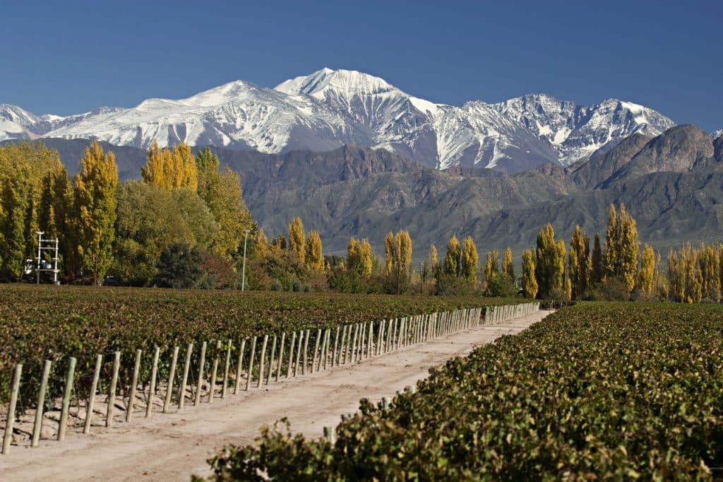 mendoza-1024x682