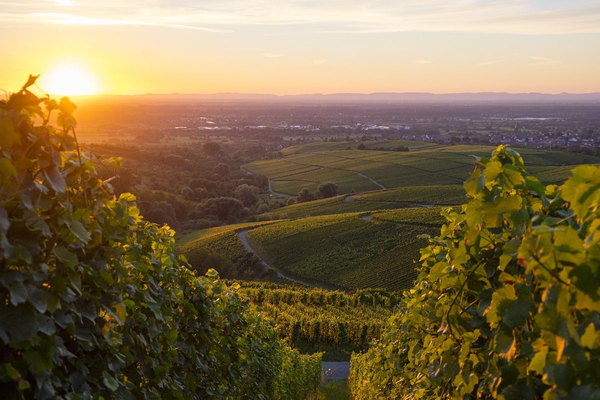 rebland_sonnenuntergang_fullwidth