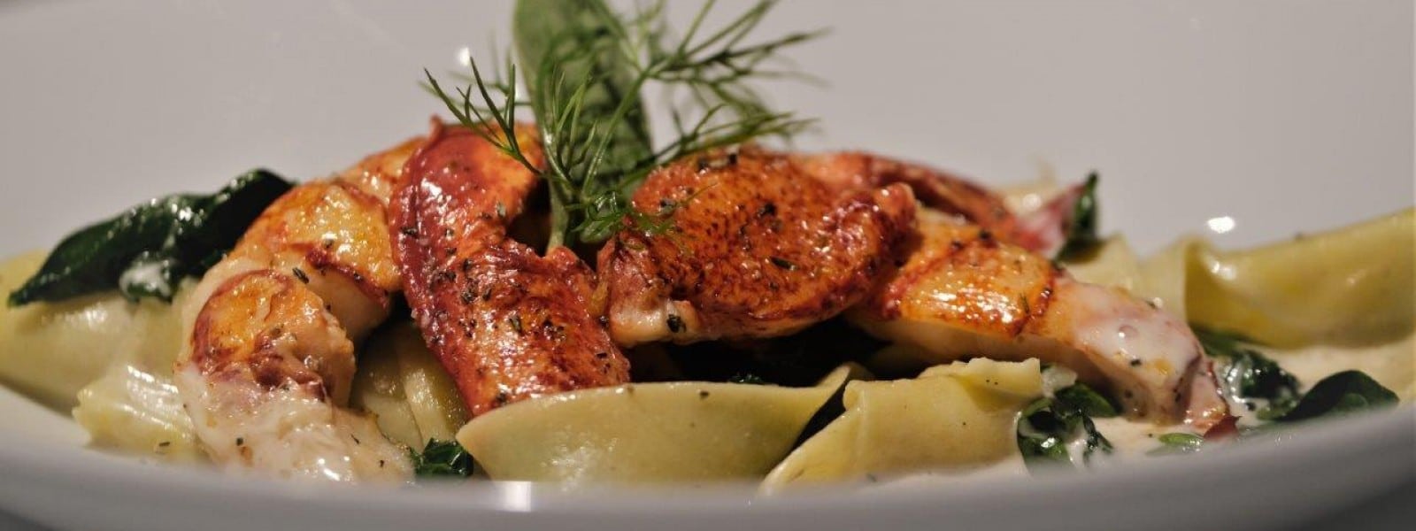 DSCF0934-3-002-1600x600