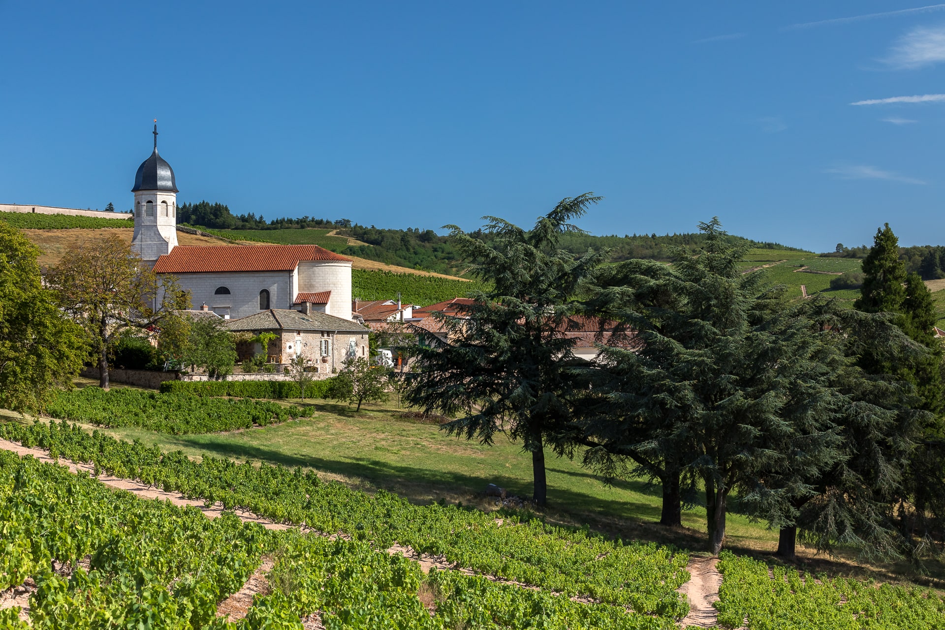11-pour-decouvrir-des-vignes-heroiques-1