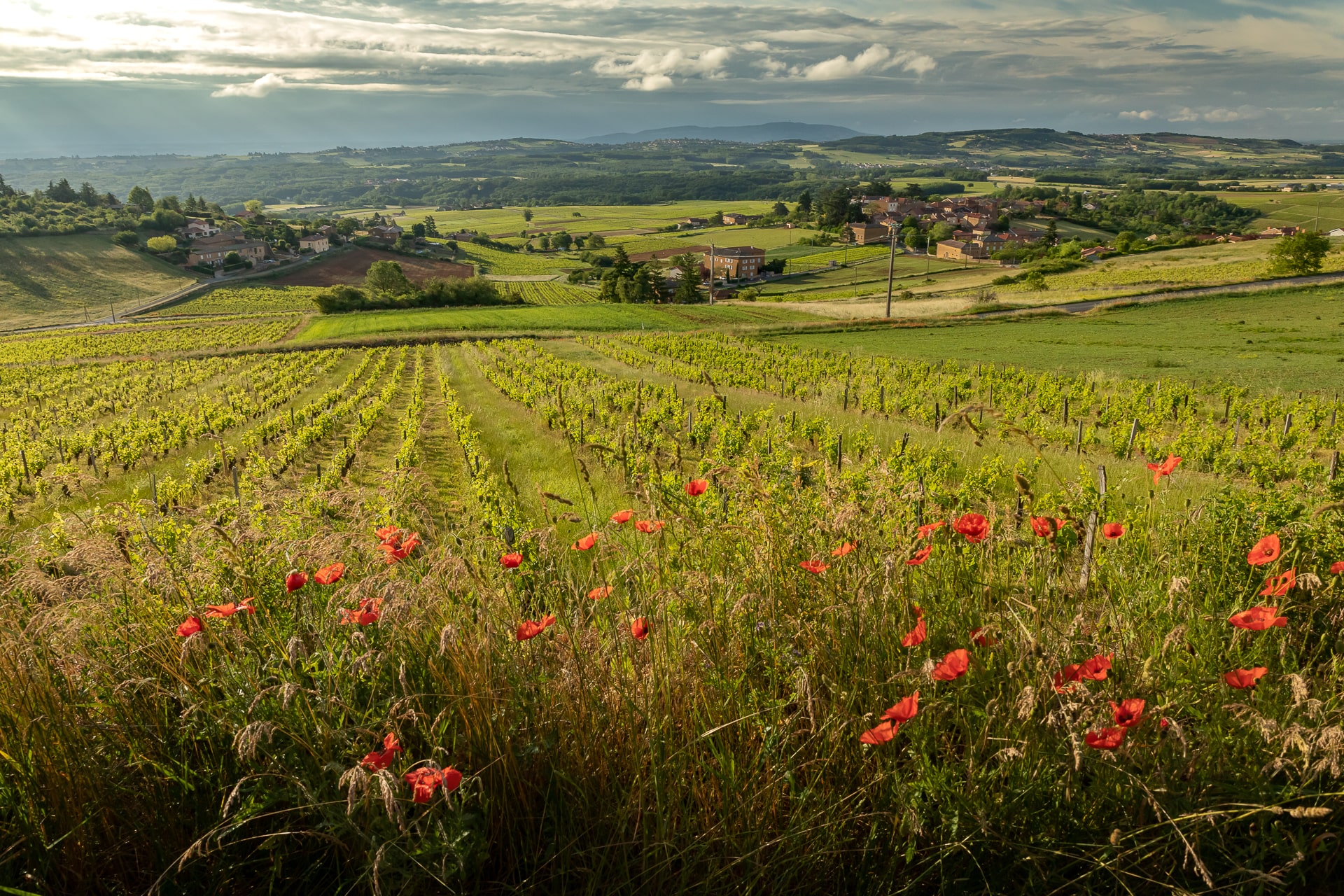 14-pour-profiter-du-calme-et-de-la-nature-environnante-1