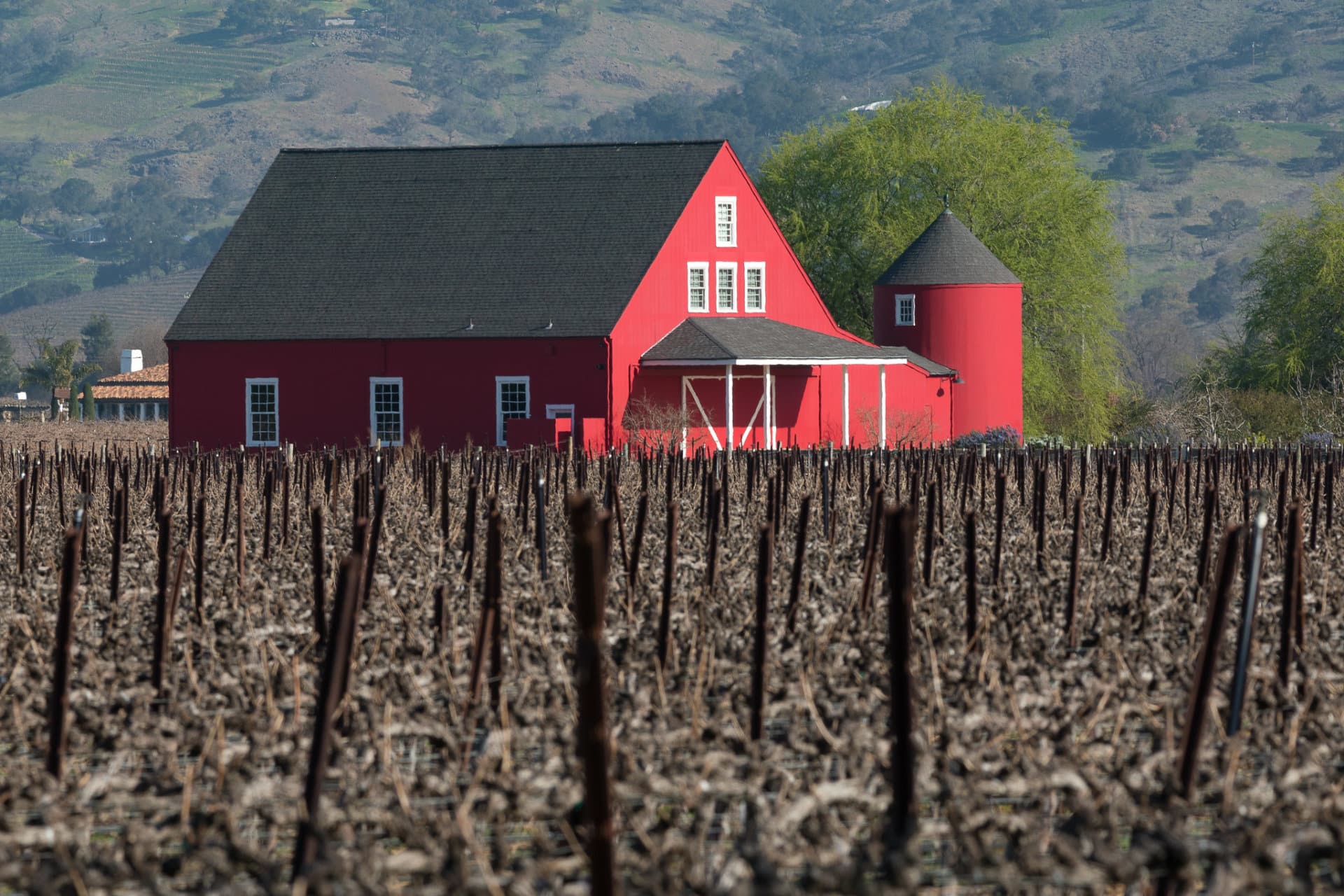 napa-valley-christmas