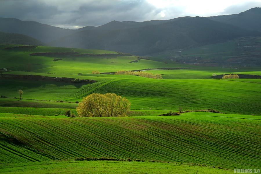 que-hacer-que-ver-en-la-rioja