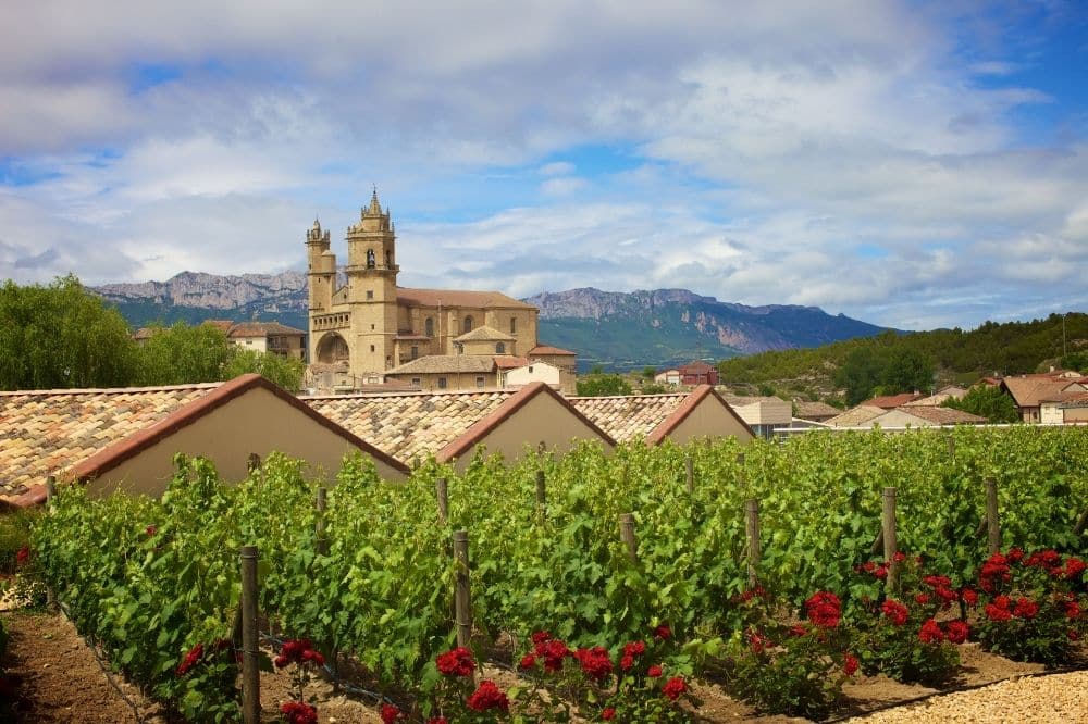 wine-taste-tour-rioja-spain-first