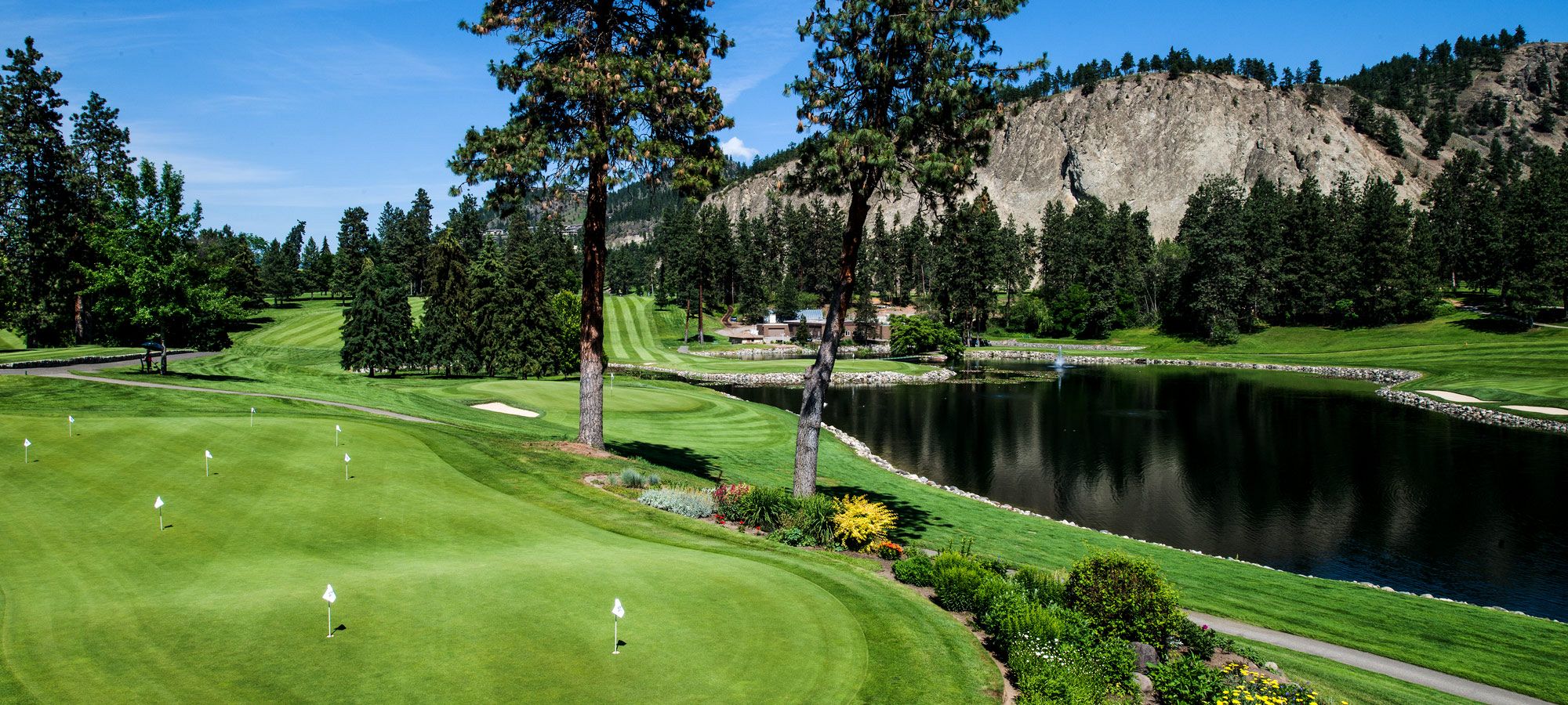 59122937-69a0-4ab0-8c9e-15a0d8b0b5a5