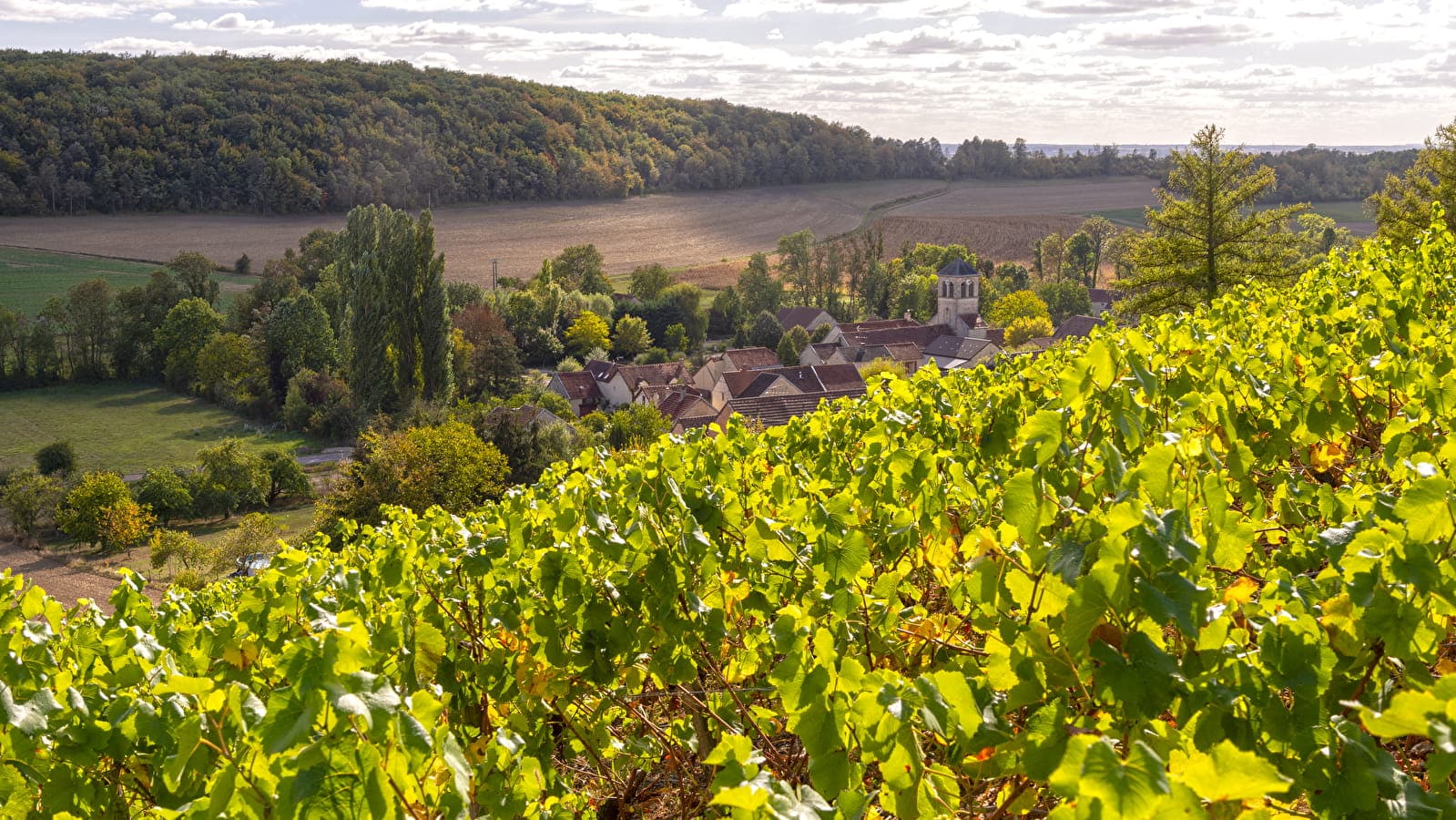 alain_doire__bfc_tourisme-bfc_0016522-1-1600x900