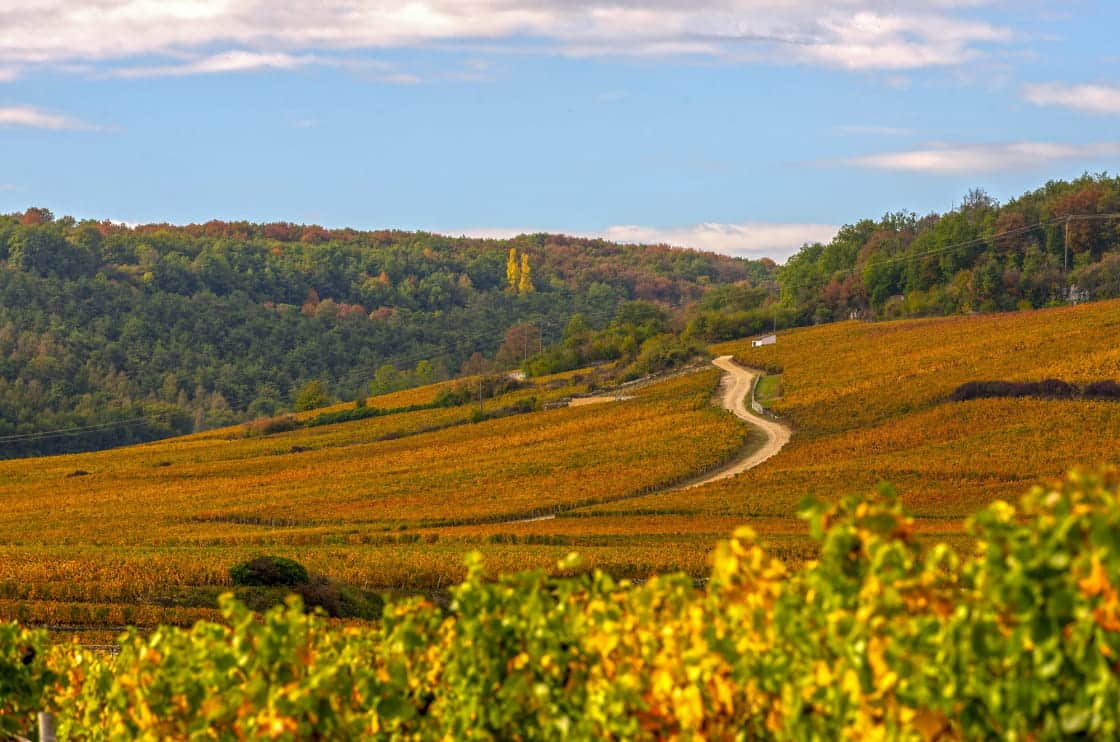 alain_doire__bourgogne-franche-comte_tourisme-bfc_0018787-1120x742