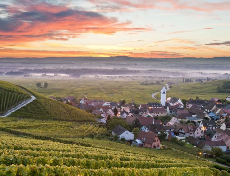 thio-katzenthal-a-laube-benoit-facchi-740x567-1