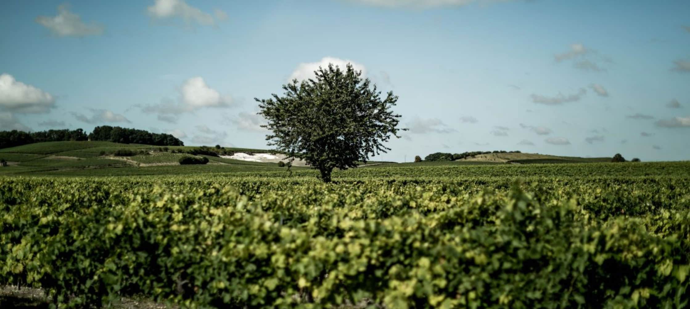 im-unefiliereengagee-1