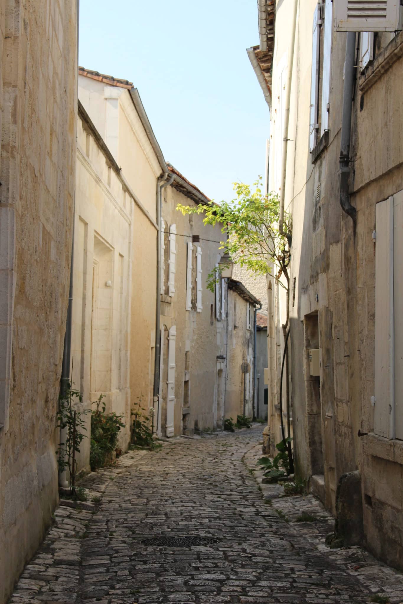 rue-henri-germain-cognac-2017