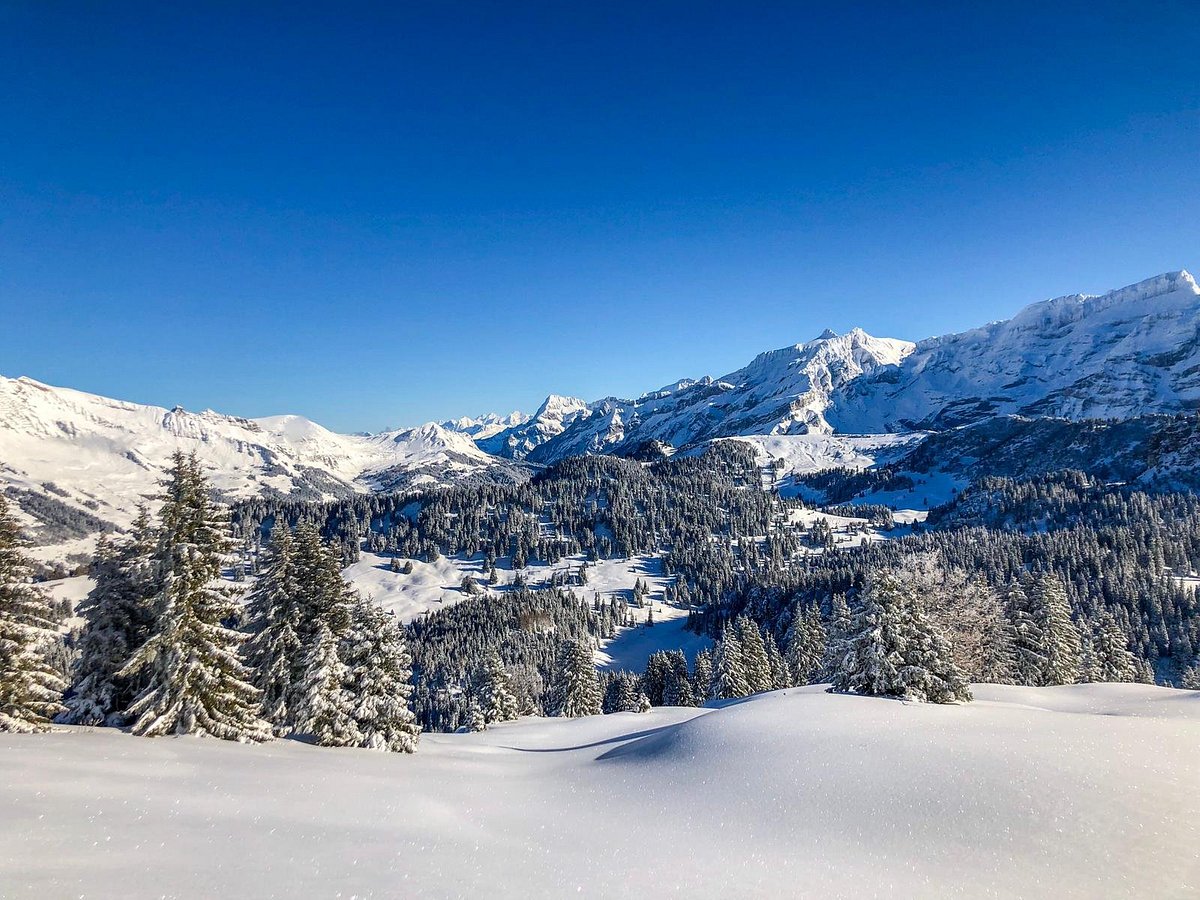 ouverture-des-pistes