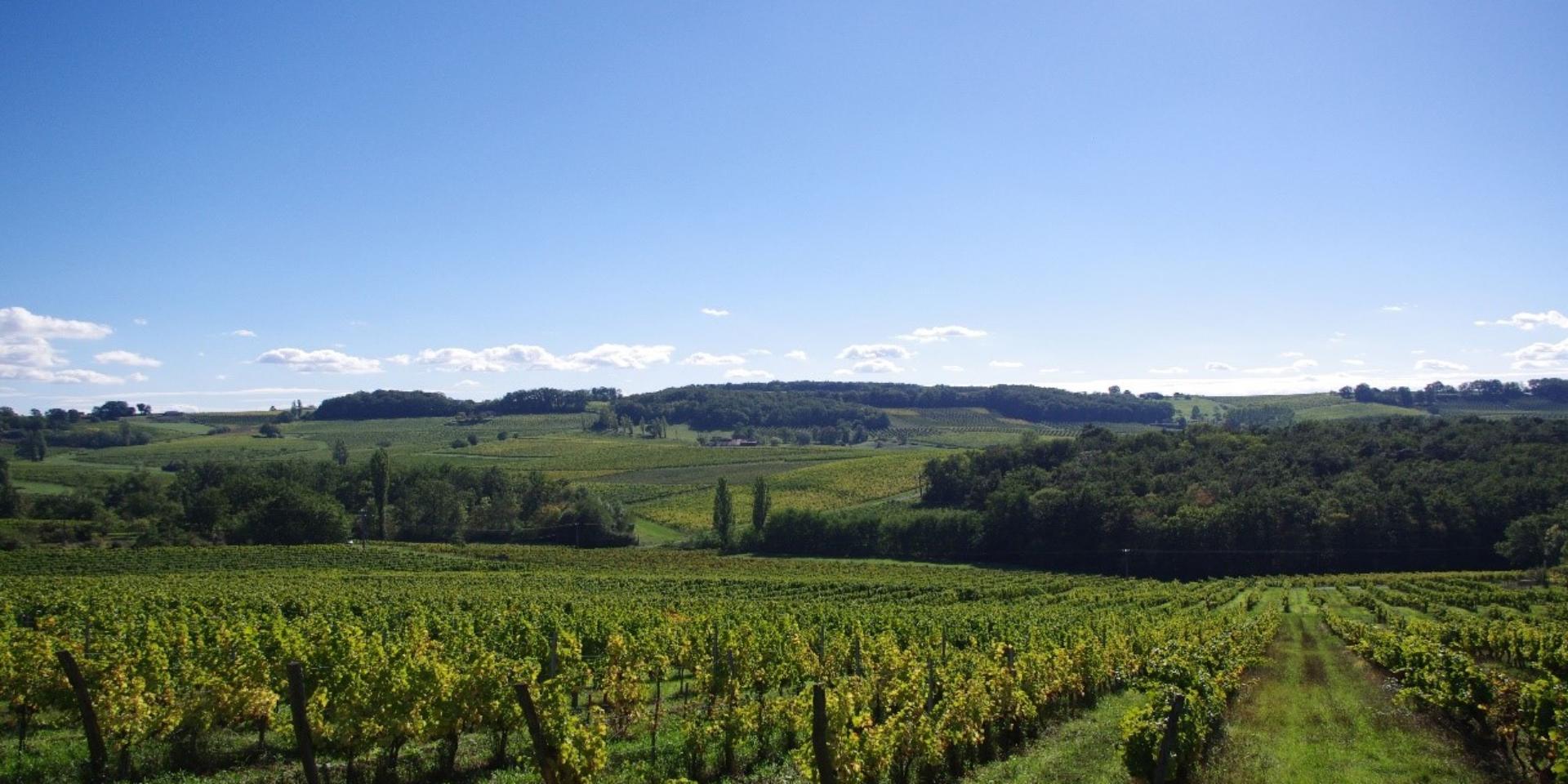 bergerac-et-ses-vins-8-1-1920x960