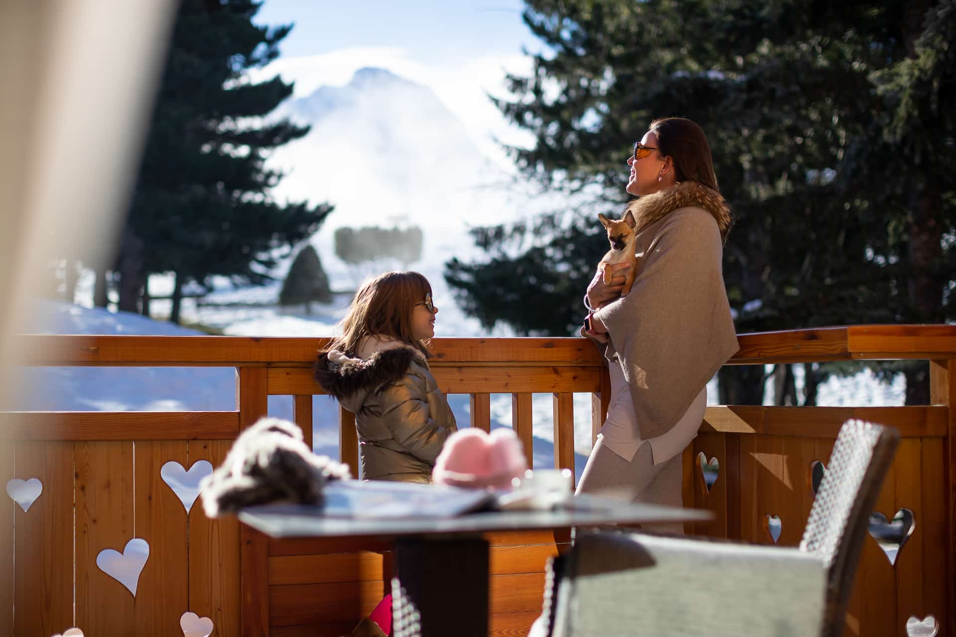 chalet-mounier-2-alpes-100943